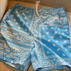 Blue Paisley Men's Shorts